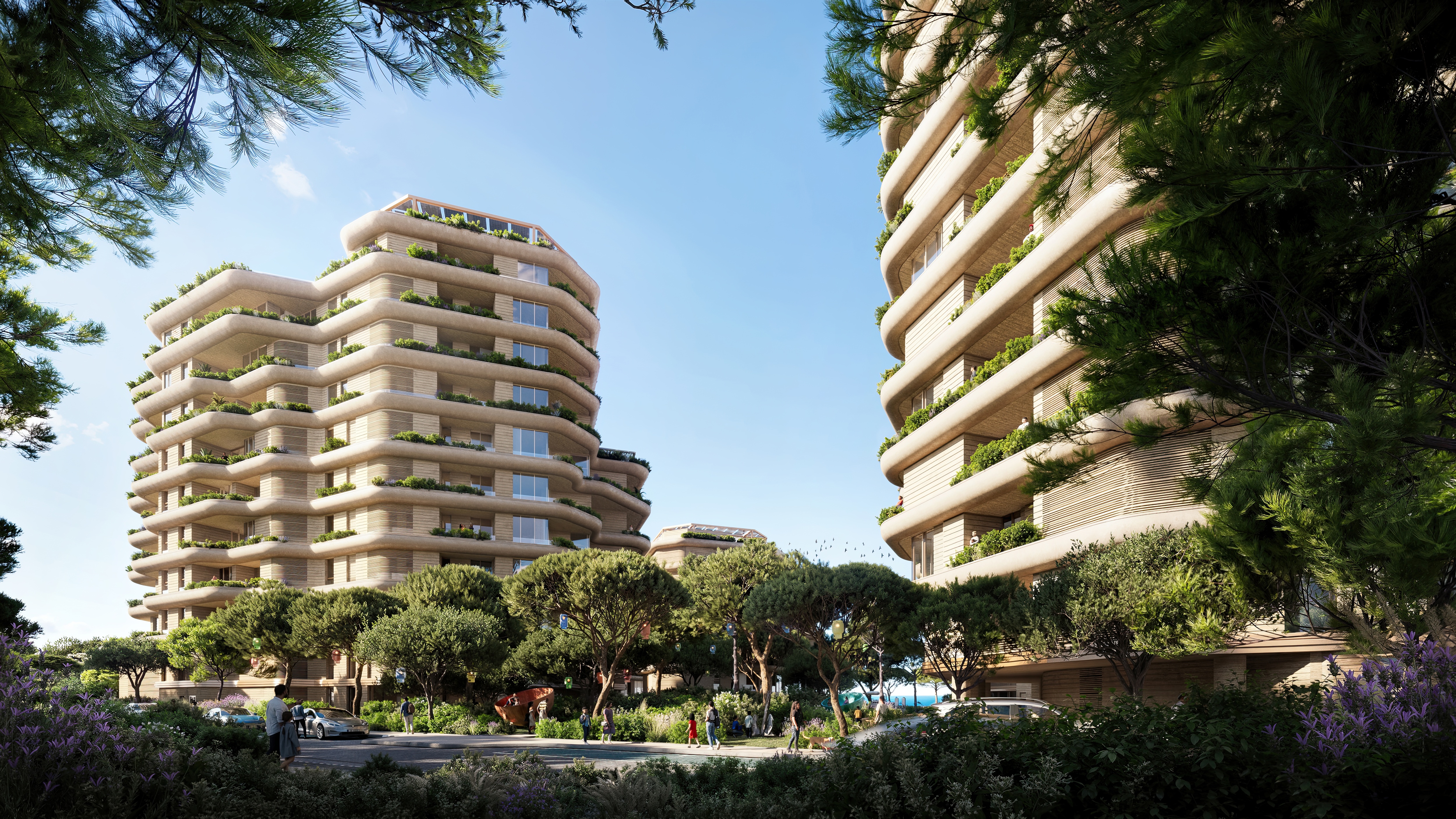 Project Gallery Image